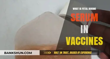 Understanding Fetal Bovine Serum's Role in Vaccine Development and Safety