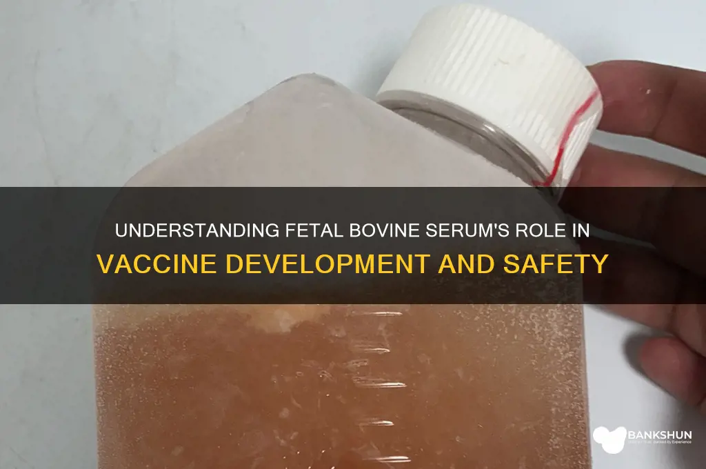 what is fetal bovine serum in vaccines