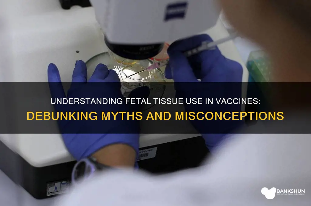what is fetal tissue in vaccines called