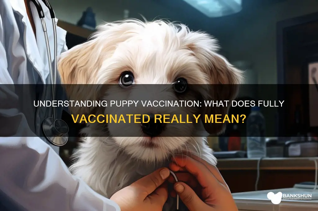 what is fully vaccinated for a puppy