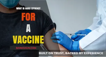 Understanding Vaccine Efficacy: What Makes a Vaccine Truly Effective?