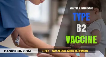 Understanding H. Influenzae Type B2 Vaccine: Benefits and Importance