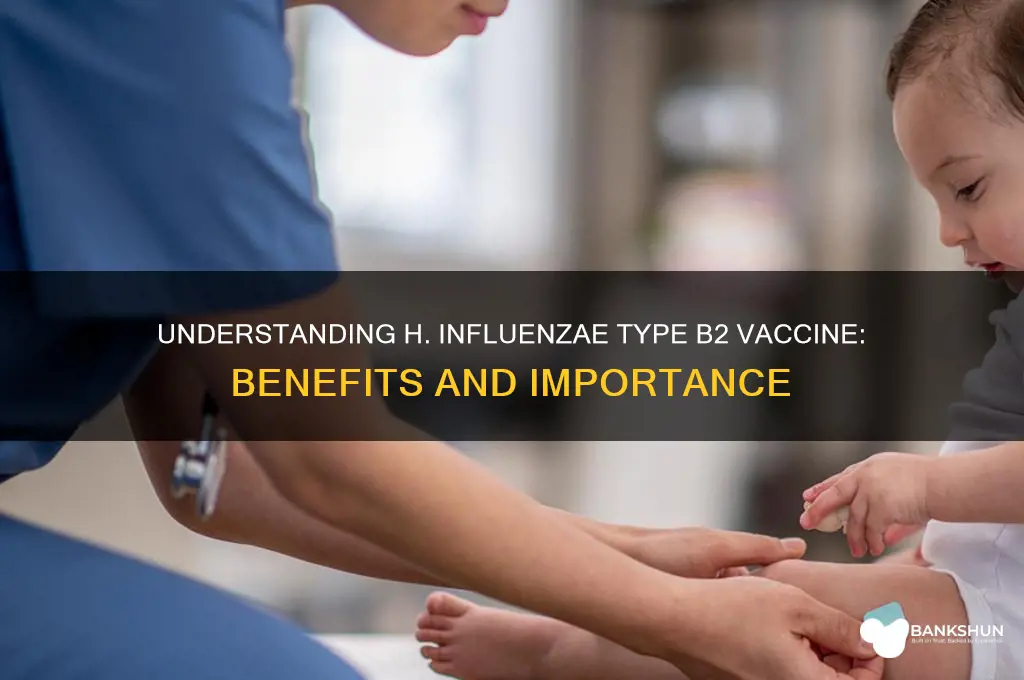 what is h influenzae type b2 vaccine