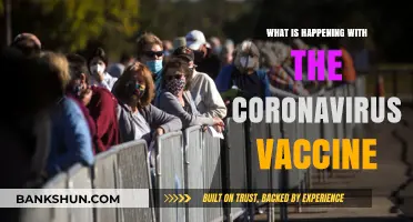 Latest Updates: Coronavirus Vaccine Rollout, Efficacy, and Global Distribution