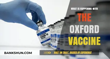 Oxford Vaccine Updates: Latest Developments, Safety, and Global Rollout Explained