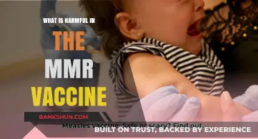 Debunking Myths: Understanding the Safety of the MMR Vaccine