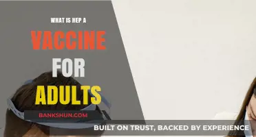 Hepatitis A Vaccine for Adults: Essential Protection and Benefits Explained