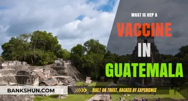 Understanding Hepatitis A Vaccination in Guatemala: Importance and Availability