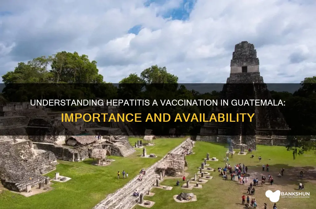 what is hep a vaccine in guatemala