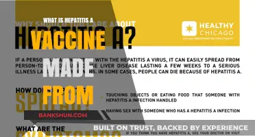 Understanding Hepatitis A Vaccine: Ingredients, Composition, and Manufacturing Process