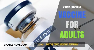 Hepatitis B Vaccine for Adults: Essential Protection and Benefits Explained