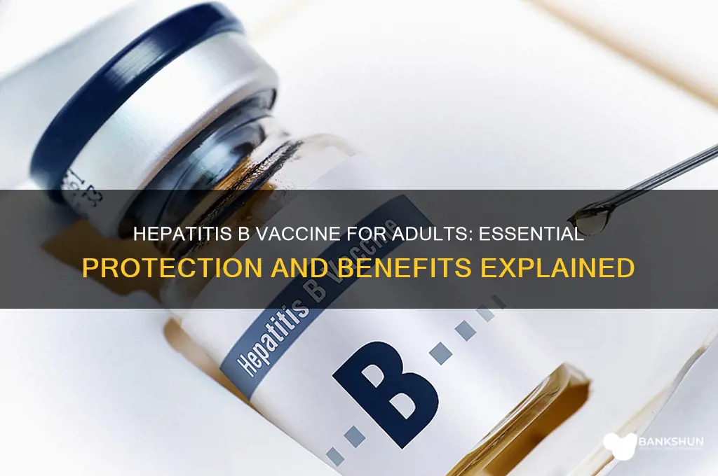 what is hepatitis b vaccine for adults