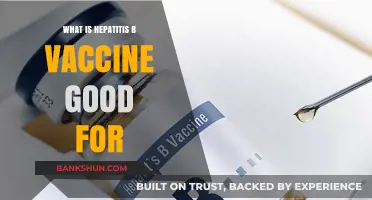 Hepatitis B Vaccine: Protecting Against Liver Disease and Cancer