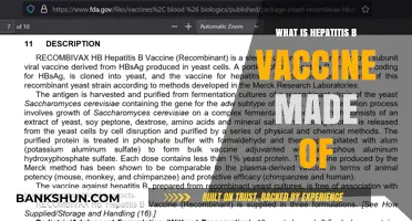 Understanding Hepatitis B Vaccine Composition: Key Ingredients Explained