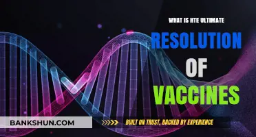 Unraveling the Ultimate Resolution: Vaccines' Role in Global Health Triumph