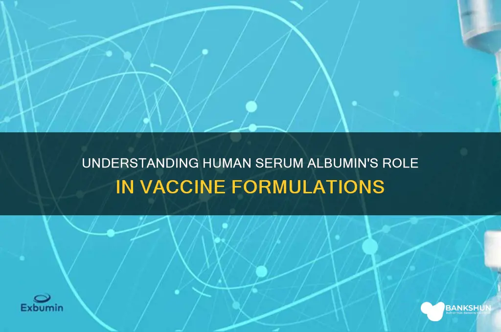 what is human serum albumin in vaccines