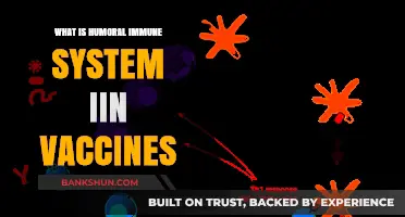 Understanding the Humoral Immune System's Role in Vaccine Efficacy