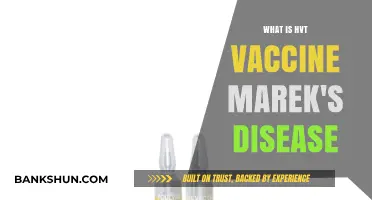 Understanding HVT Vaccine: Combating Marek's Disease in Poultry Effectively