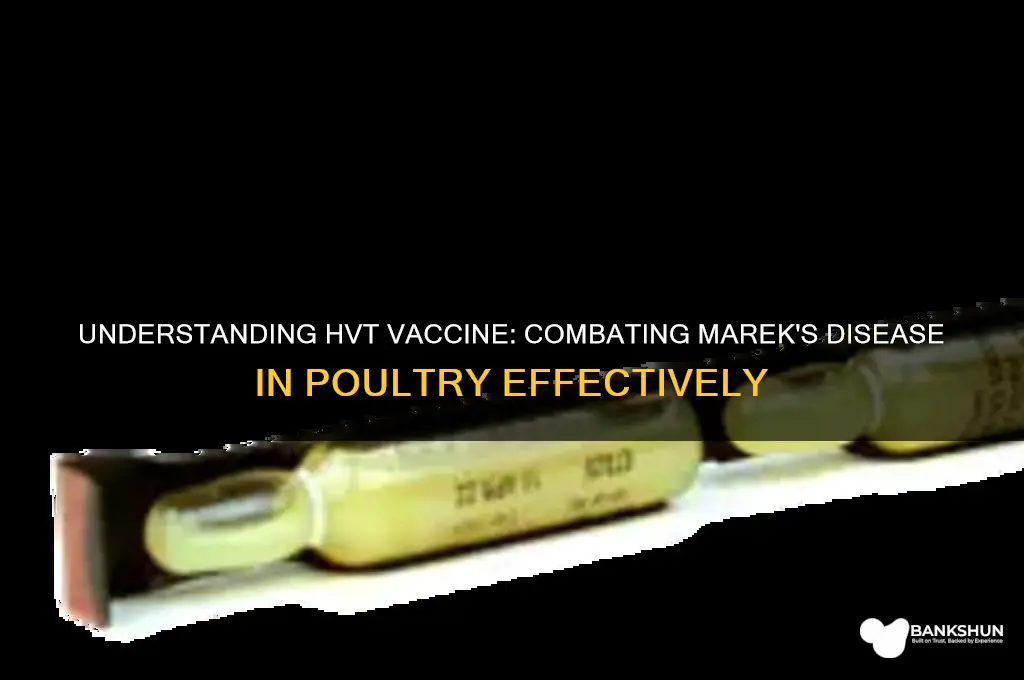 what is hvt vaccine marek
