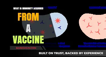 Understanding Vaccine-Induced Immunity: How Vaccines Protect Against Diseases