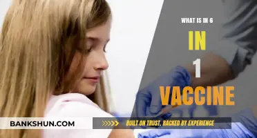 Understanding the Components of the 6-in-1 Vaccine for Infants