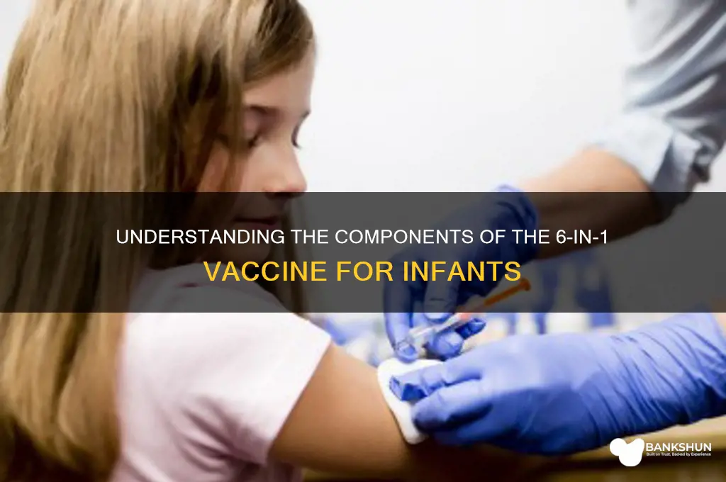 what is in 6 in 1 vaccine