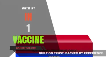 Understanding the 7-in-1 Vaccine: Components, Benefits, and Importance