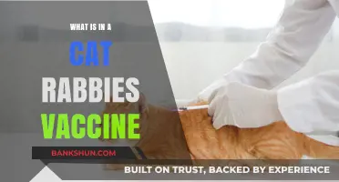 Understanding the Cat Rabies Vaccine: Ingredients and Importance