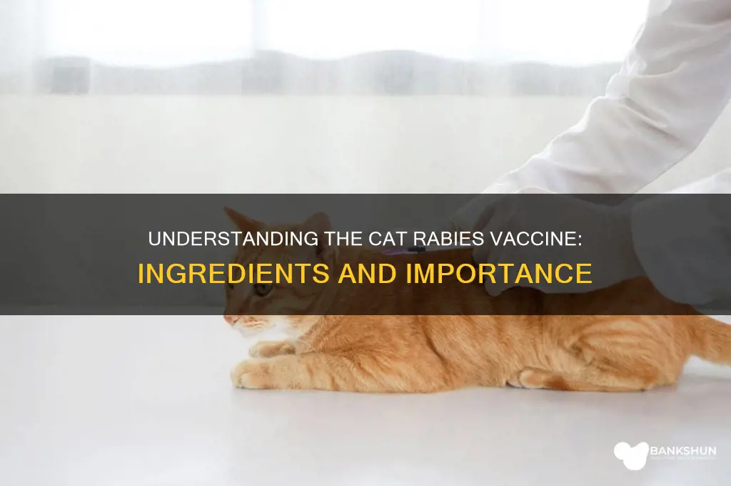 what is in a cat rabbies vaccine