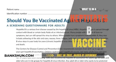 Understanding Hepatitis B Vaccine Components and Their Protective Role