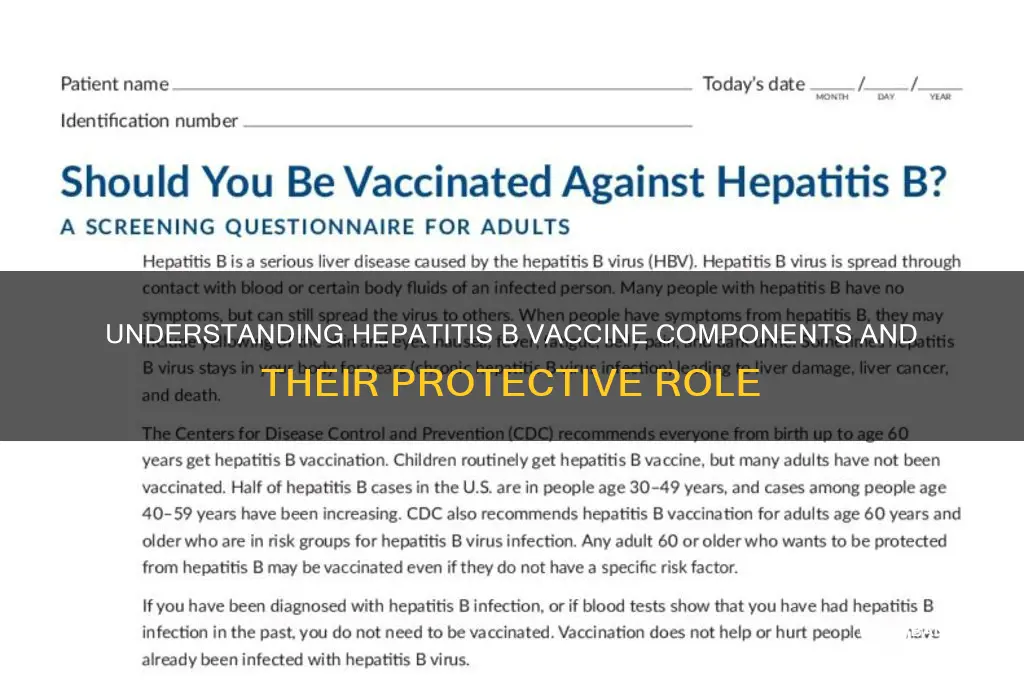 what is in a heptitatis b vaccine