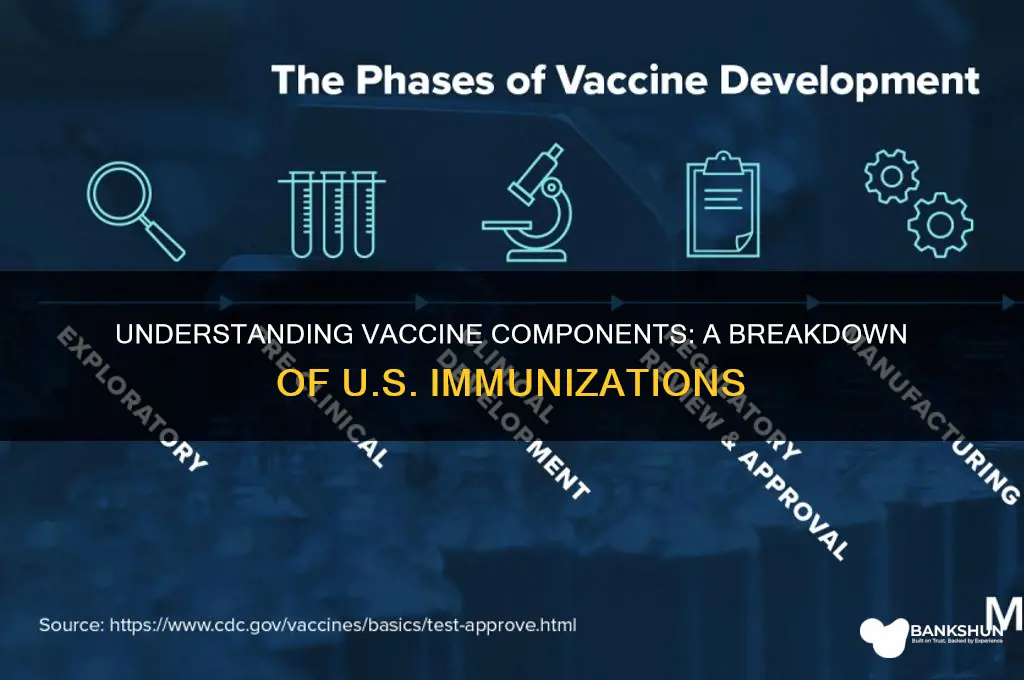 what is in a vaccine united states