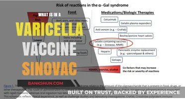 Understanding Sinovac's Varicella Vaccine: Ingredients and Benefits Explained