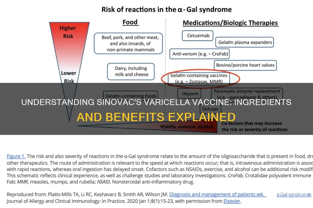 what is in a varicella vaccine sinovac