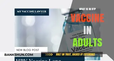 Understanding DTP Vaccine Components and Benefits for Adults