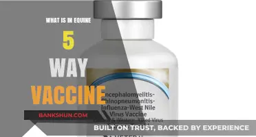 Understanding the Equine 5-Way Vaccine: Essential Protection for Horses