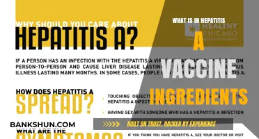 Hepatitis A Vaccine Ingredients: A Detailed Breakdown of Components