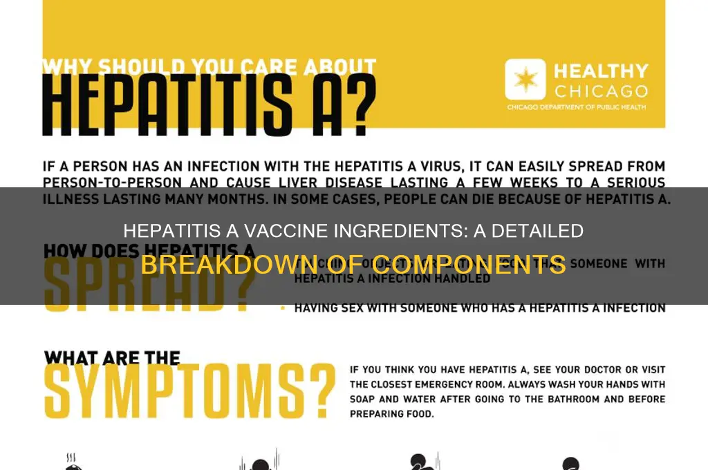 what is in hepatitis a vaccine ingredients