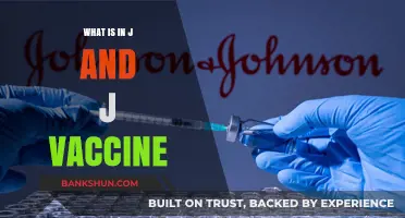 Understanding the J&J Vaccine: Ingredients, Safety, and Effectiveness Explained