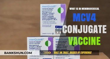 Understanding the Meningococcal MCV4 Conjugate Vaccine: Ingredients and Benefits