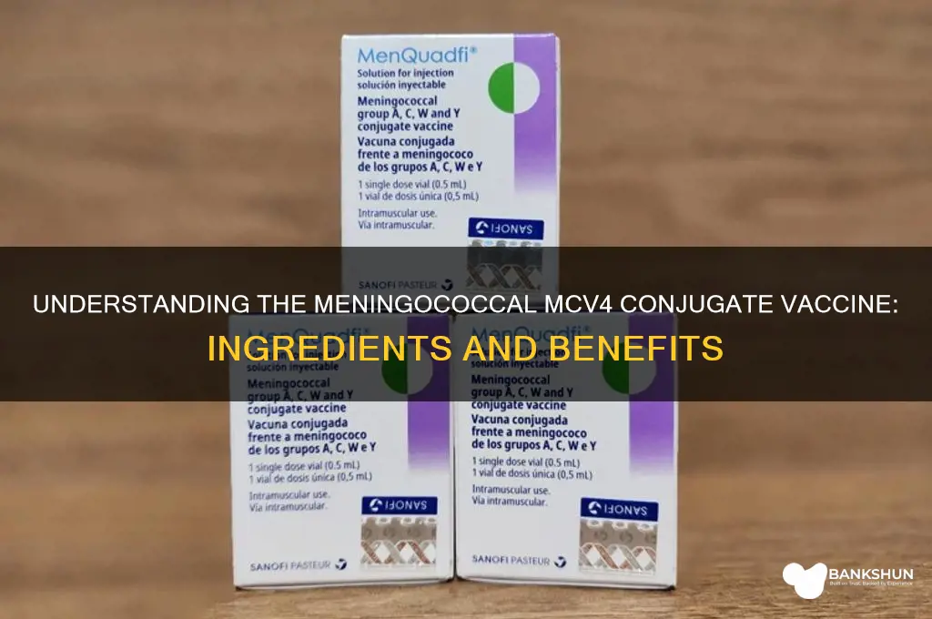 what is in meningococcal mcv4 conjugate vaccine