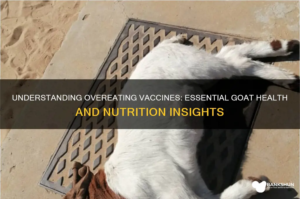 what is in overeating vaccines for goats