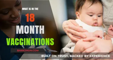 Understanding Your Toddler's 18-Month Vaccination Schedule and Importance