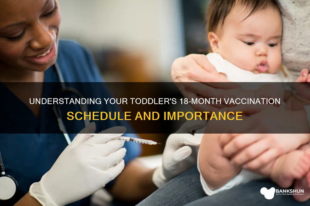what is in the 18 month vaccinations