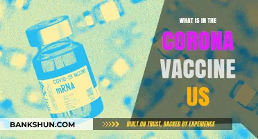 Understanding the Ingredients in the US COVID-19 Vaccines