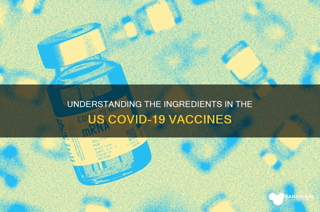 what is in the corona vaccine us