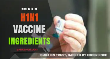 Understanding H1N1 Vaccine Ingredients: A Comprehensive Breakdown