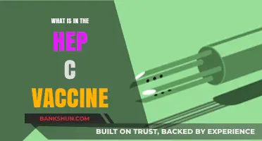 Understanding the Hepatitis C Vaccine: Components and Their Role