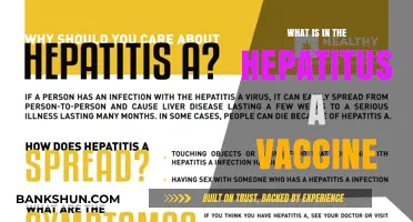 Understanding the Hepatitis A Vaccine: Ingredients and Protection Explained