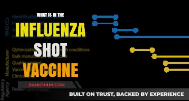 Understanding the Influenza Shot: Components and Their Role in Protection